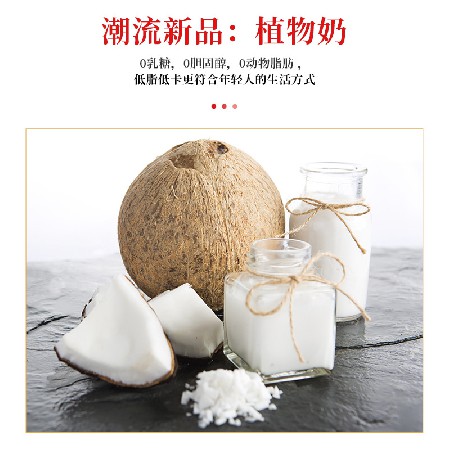 銀多多鮮榨系列清新口感椰子汁口味淡雅椰汁 低卡16罐禮盒裝